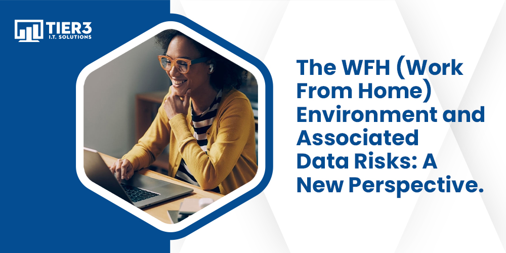 The WFH (Work From Home) Environment and Associated Data Risks: A New Perspective